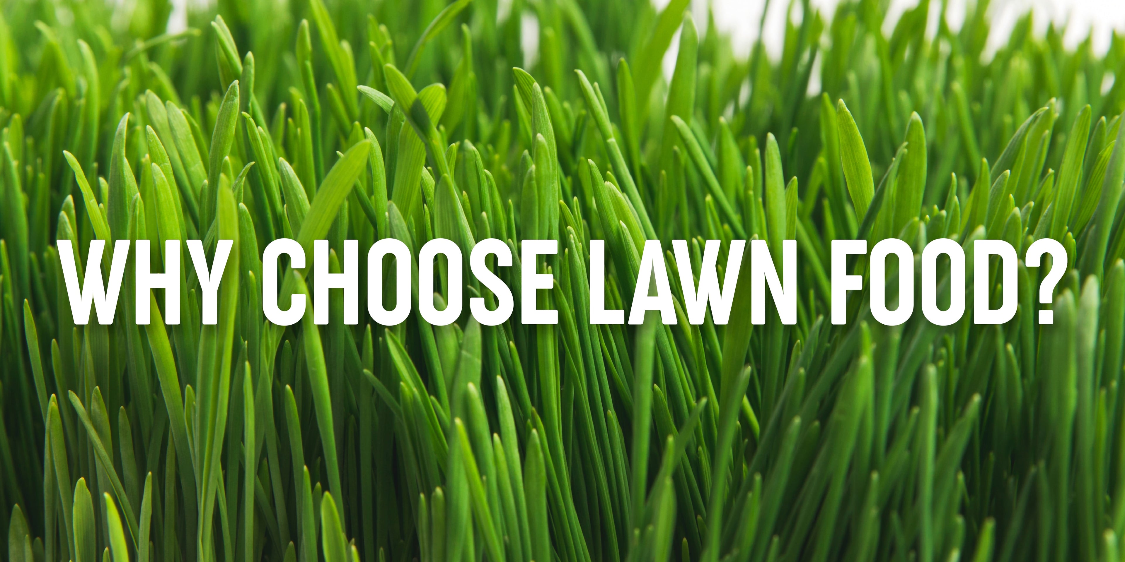 We Love Purely Organic Products Lawn Food & We Think You Will Too!