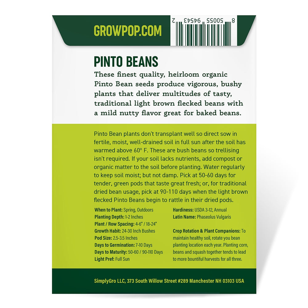 Purely Organic Pinto Beans - USDA Organic, Non-GMO, Open Pollinated, Heirloom, USA Origin, Vegetable Seeds