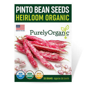 Purely Organic Pinto Beans - USDA Organic, Non-GMO, Open Pollinated, Heirloom, USA Origin, Vegetable Seeds