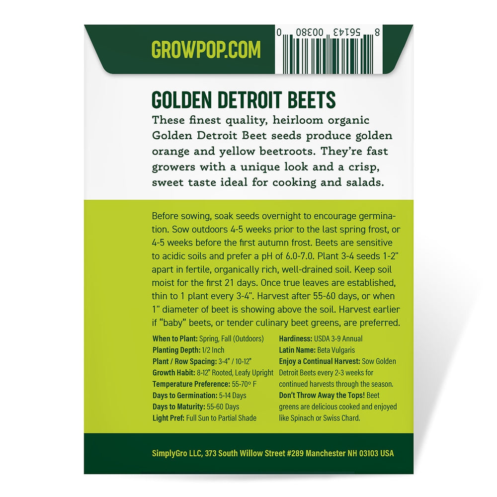 Purely Organic Golden Detroit Beet Seeds - USDA Organic, Non-GMO, Open Pollinated, Heirloom, USA Origin, Vegetable Seeds