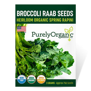 Purely Organic Spring Rapini Broccoli Raab Seeds - USDA Organic, Non-GMO, Open Pollinated, Heirloom, USA Origin, Vegetable Seeds