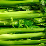 Purely Organic Utah Tall Celery Seeds - USDA Organic, Non-GMO, Open Pollinated, Heirloom, USA Origin, Vegetable Seeds