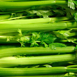 Purely Organic Utah Tall Celery Seeds - USDA Organic, Non-GMO, Open Pollinated, Heirloom, USA Origin, Vegetable Seeds