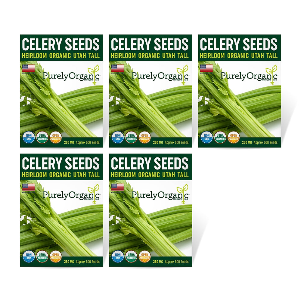 Purely Organic Utah Tall Celery Seeds - USDA Organic, Non-GMO, Open Pollinated, Heirloom, USA Origin, Vegetable Seeds