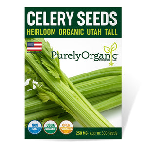 Purely Organic Utah Tall Celery Seeds - USDA Organic, Non-GMO, Open Pollinated, Heirloom, USA Origin, Vegetable Seeds