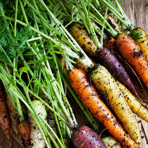 Purely Organic Rainbow Blend Carrot Seeds - USDA Organic, Non-GMO, Open Pollinated, Heirloom, USA Origin, Vegetable Seeds