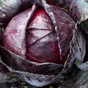 Purely Organic Red Acre Cabbage Seeds - USDA Organic, Non-GMO, Open Pollinated, Heirloom, USA Origin, Vegetable Seeds