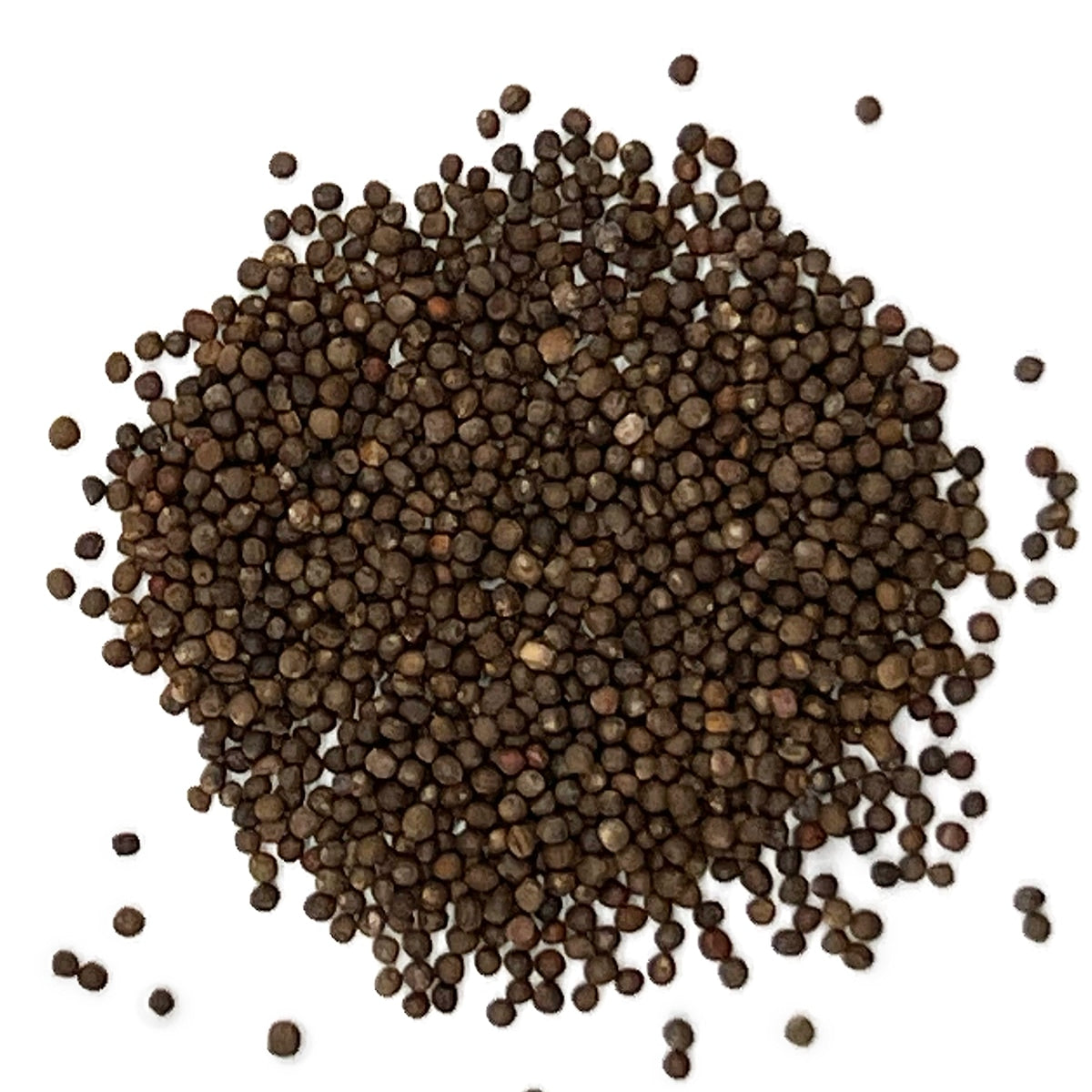 A close view of seeds on a white background 
