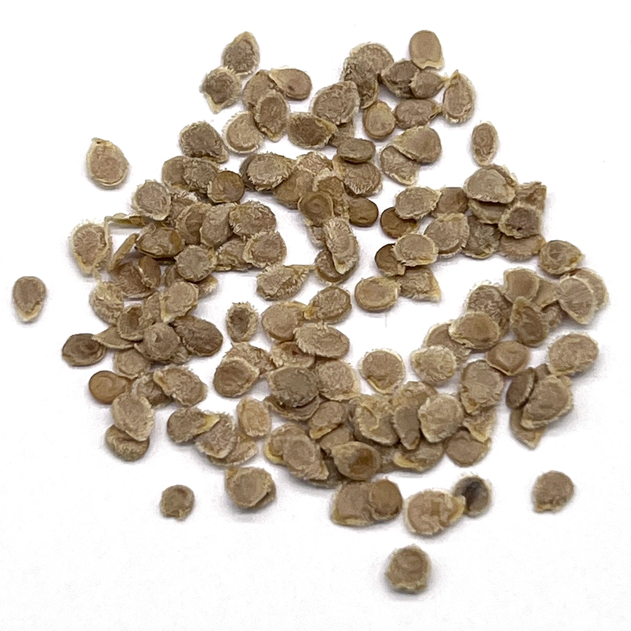 A close view of seeds on a white background 
