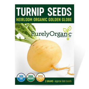 Purely Organic Golden Globe Turnip Seeds - USDA Organic, Non-GMO, Open Pollinated, Heirloom, Vegetable Seeds