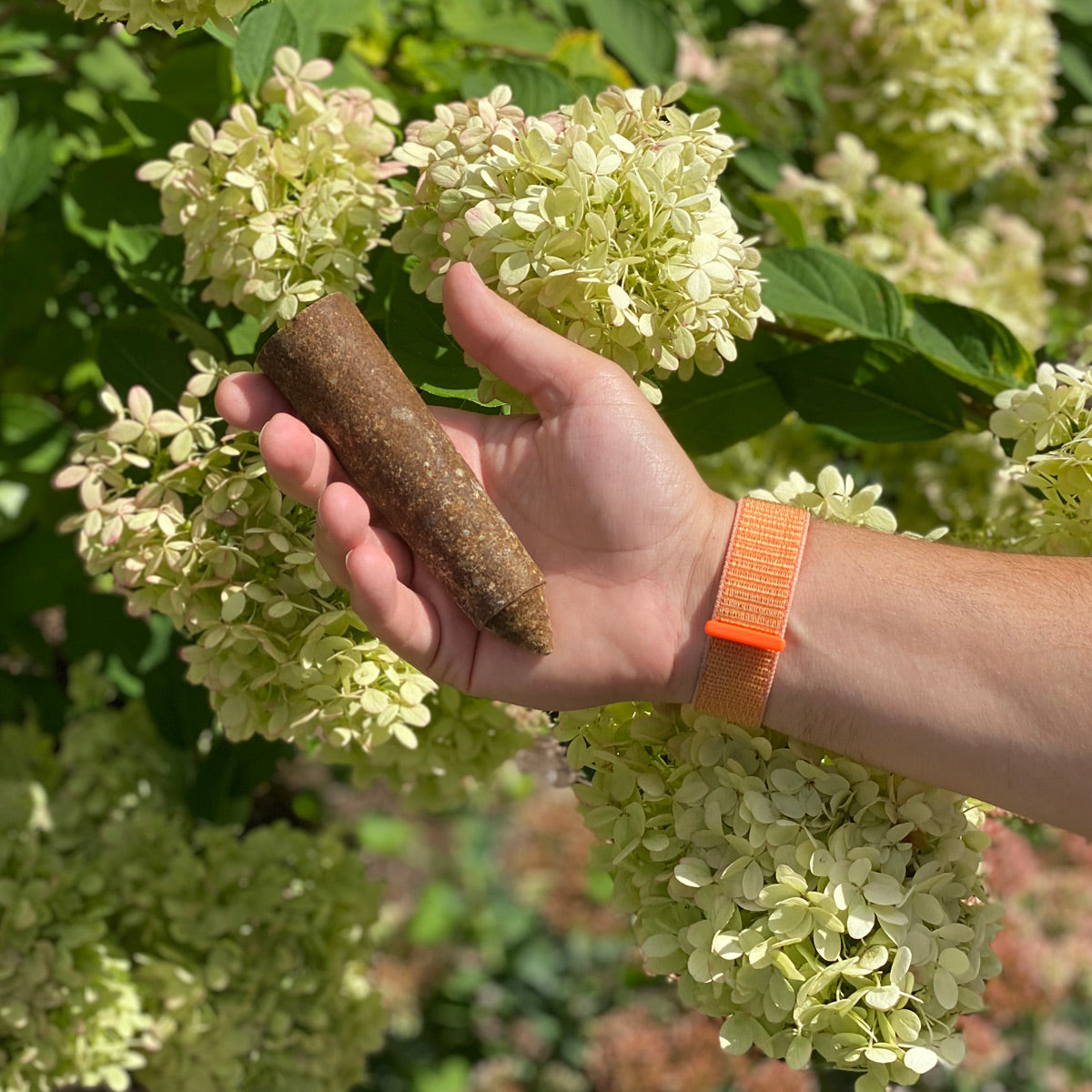The Old Farmer's Almanac Evergreen Tree & Shrub Fertilizer Spikes