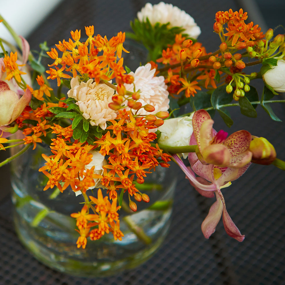 The Old Farmer's Almanac Butterfly Milkweed Seeds - Premium Non-GMO, Open Pollinated, USA Origin, Flower Seeds