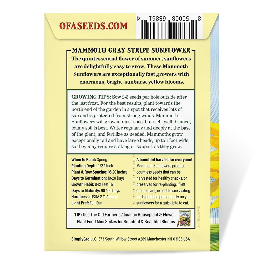 The Old Farmer's Almanac Mammoth Gray Strip Sunflower Seeds - Premium Non-GMO, Open Pollinated, USA Origin, Flower Seeds