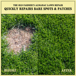 The Old Farmer's Almanac Lawn Repair Premium Grass Seed & Compost Blend