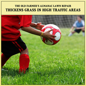 The Old Farmer's Almanac Lawn Repair Premium Grass Seed & Compost Blend