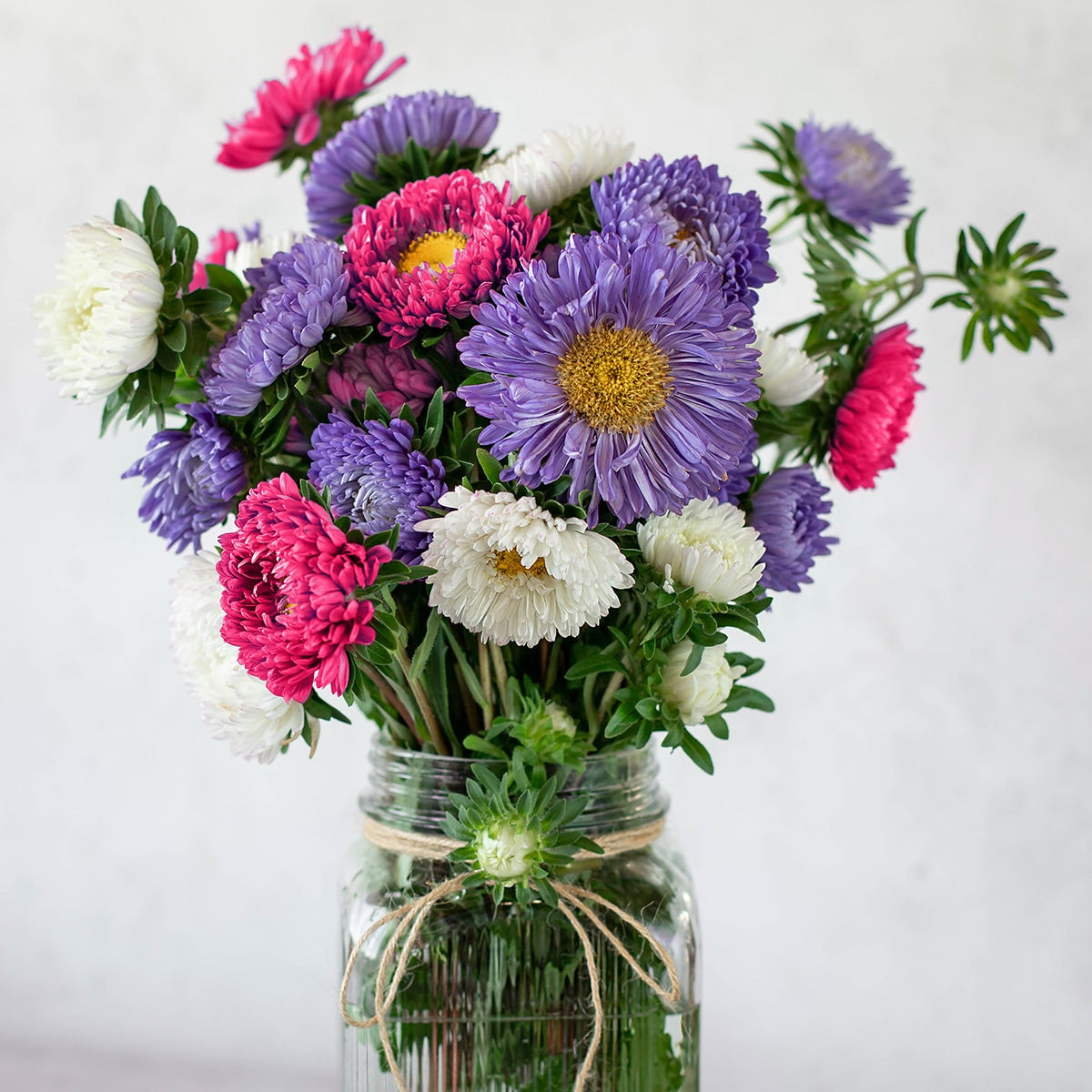 Aster Powerpuff Flowers In a vase 