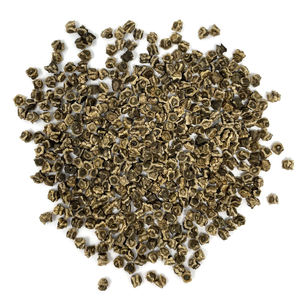 A close view of seeds on a white background 
