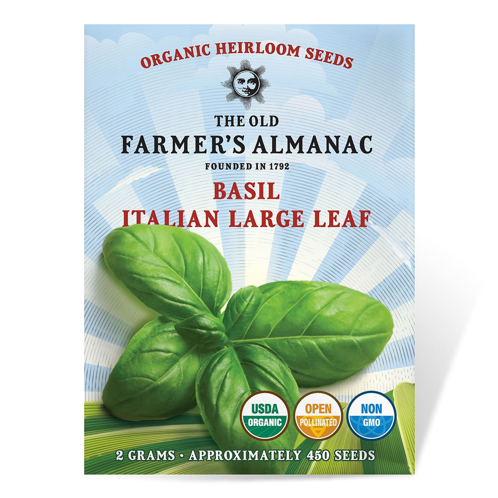 The Old Farmer's Almanac Heirloom Italian Large Leaf Basil Seeds - Premium Non-GMO, Open Pollinated, Herb Seeds