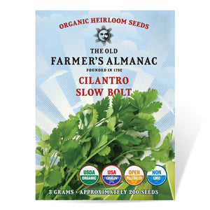 The Old Farmer's Almanac Heirloom Slow Bolt Cilantro Seeds - Premium Non-GMO, Open Pollinated, USA Origin, Herb Seeds