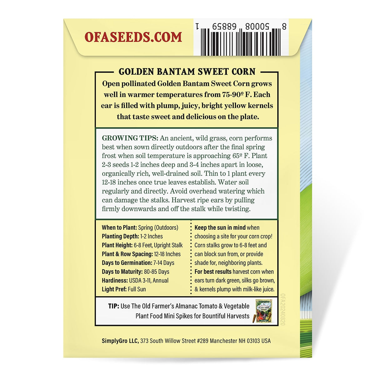 The back view of a Sweet corn seed packet from The Old Farmer's Almanac with an image of corn and branding details.