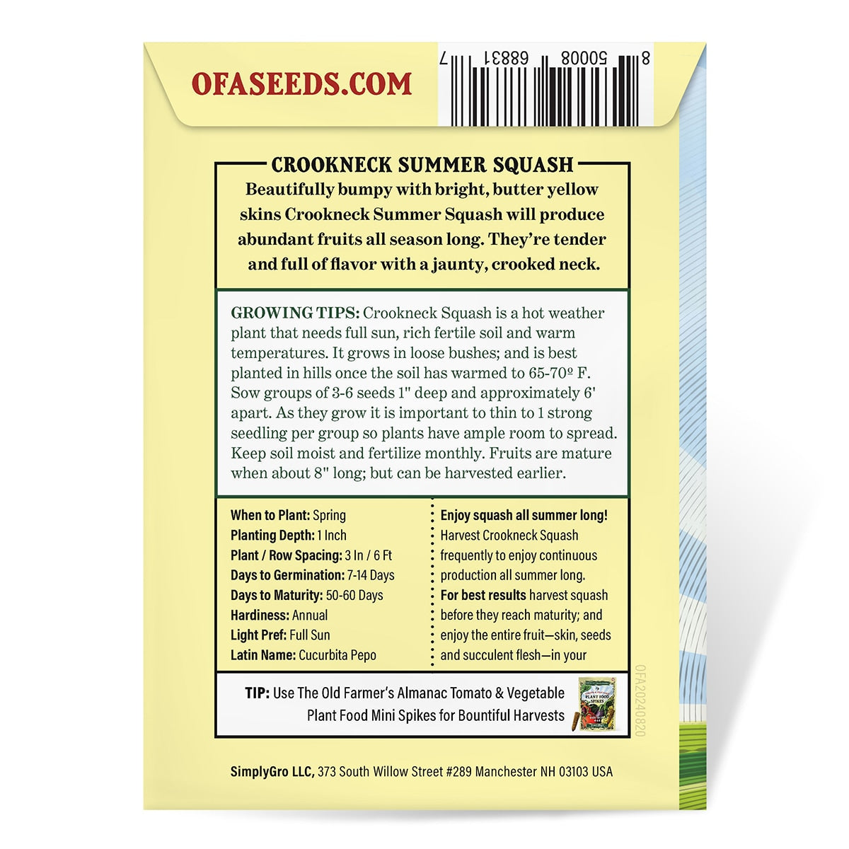 The Back View Of a Seed packet for Summer Squash Crookneck from The Old Farmer's Almanac on a white background