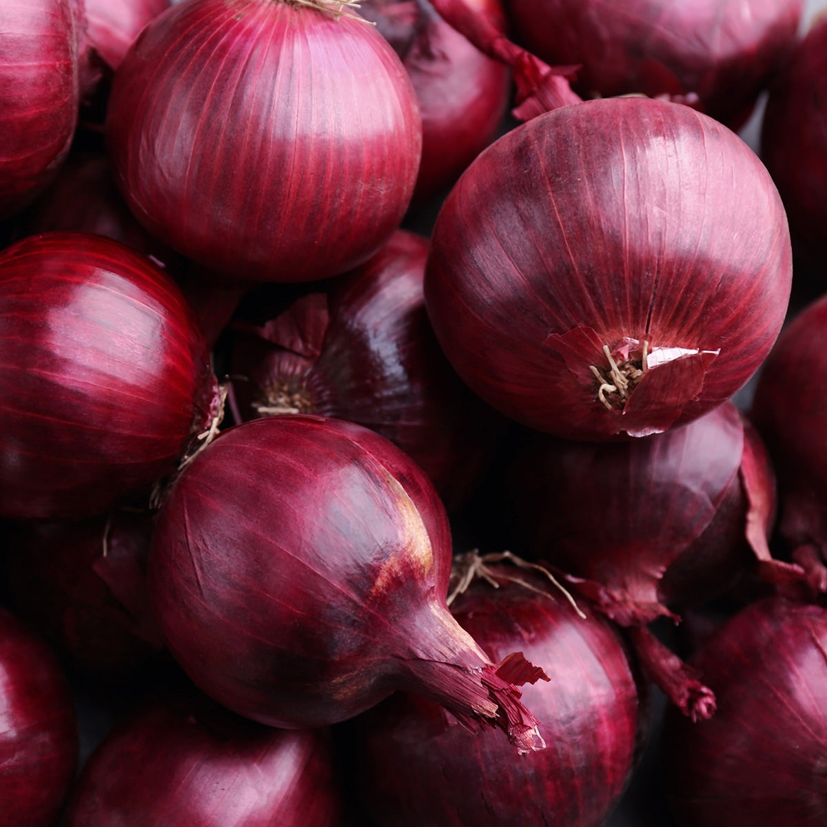 Red Onions 