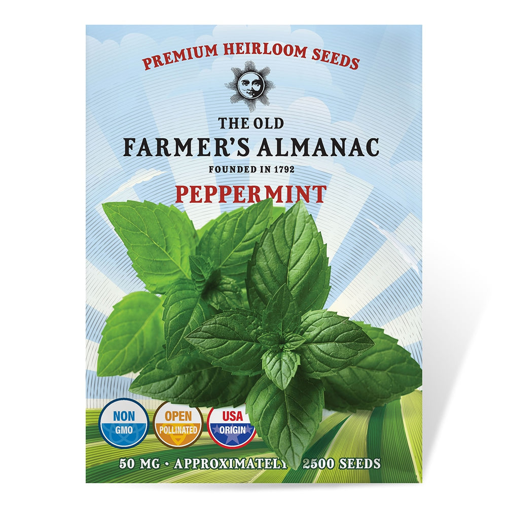 The Old Farmer's Almanac Heirloom Peppermint Seeds - Premium Non-GMO, Open Pollinated, Herb Seeds