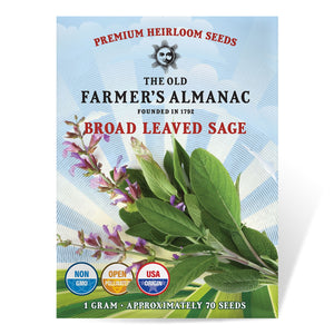 The Old Farmer's Almanac Heirloom Broad Leaved Sage Seeds - Premium Non-GMO, Open Pollinated, Herb Seeds