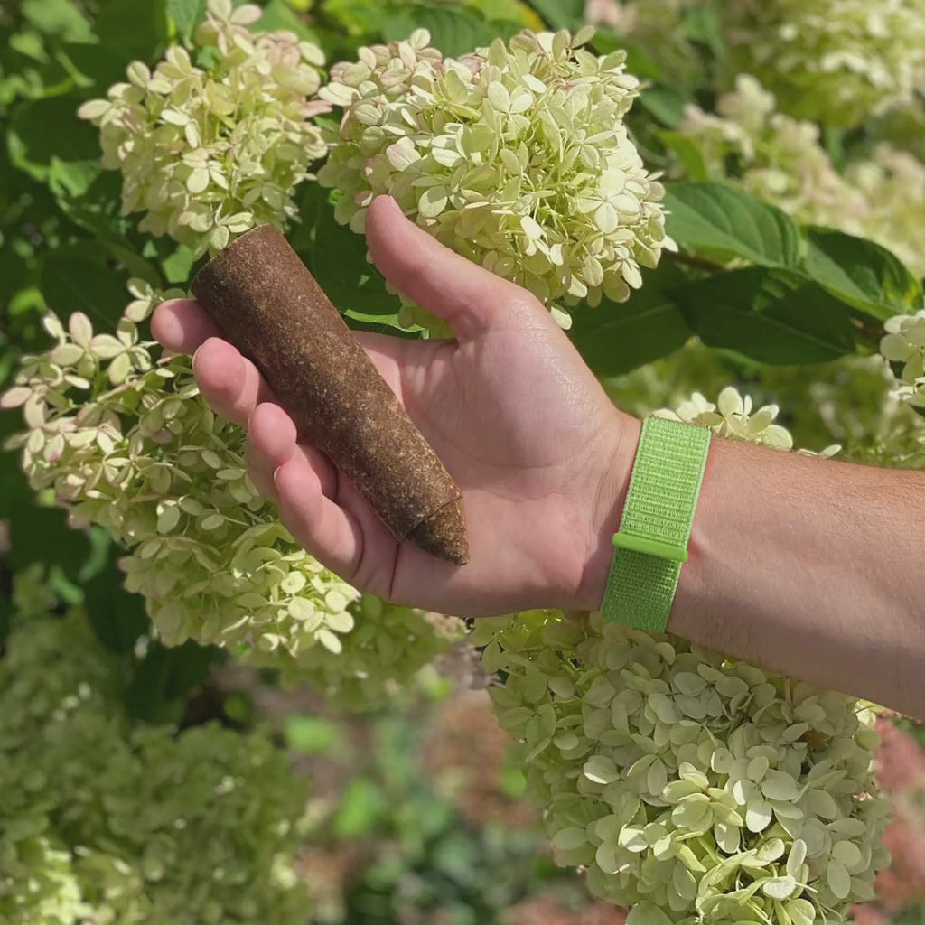 The Old Farmer's Almanac Evergreen Tree & Shrub Fertilizer Spikes