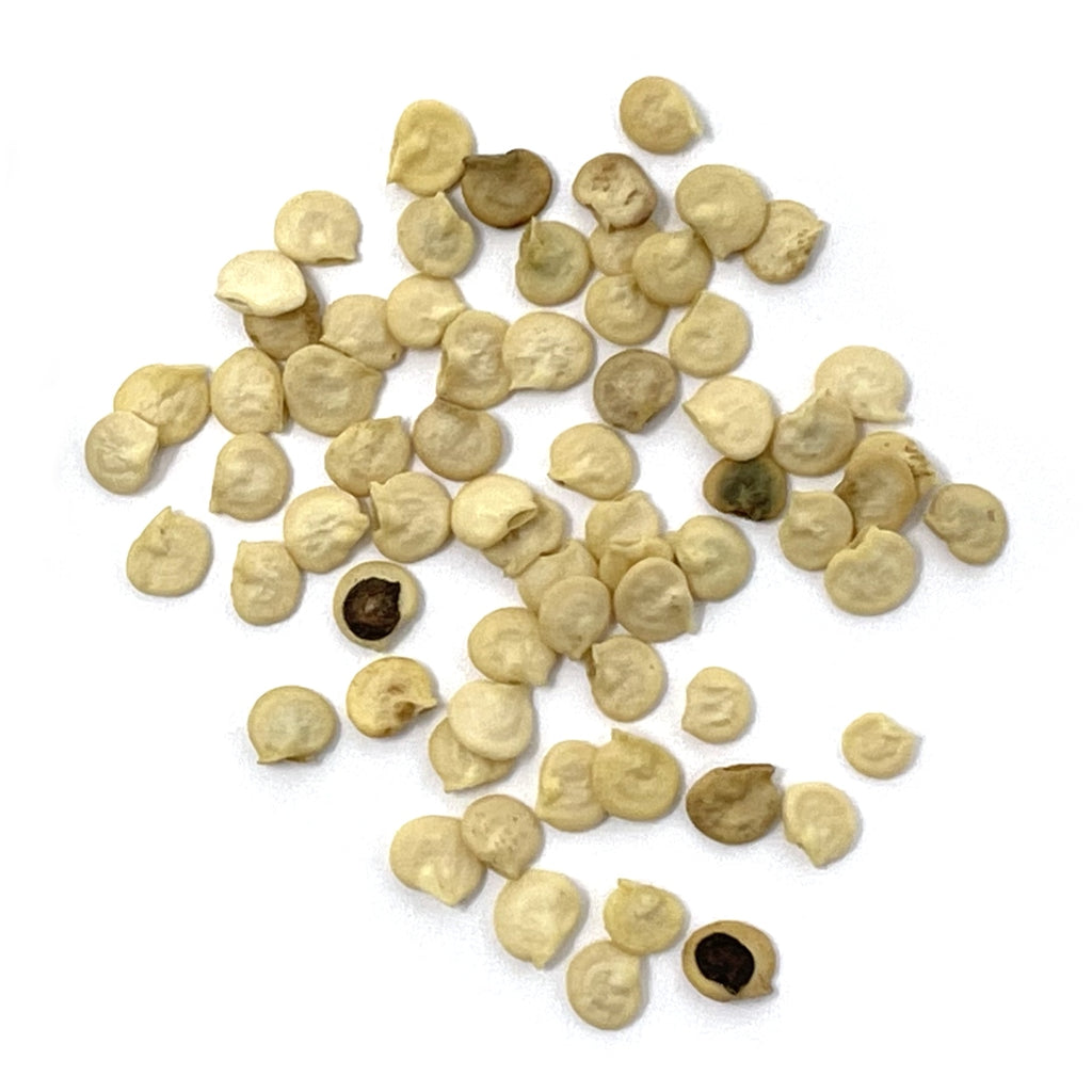 Purely Organic California Wonder Sweet Pepper Seeds - USDA Organic