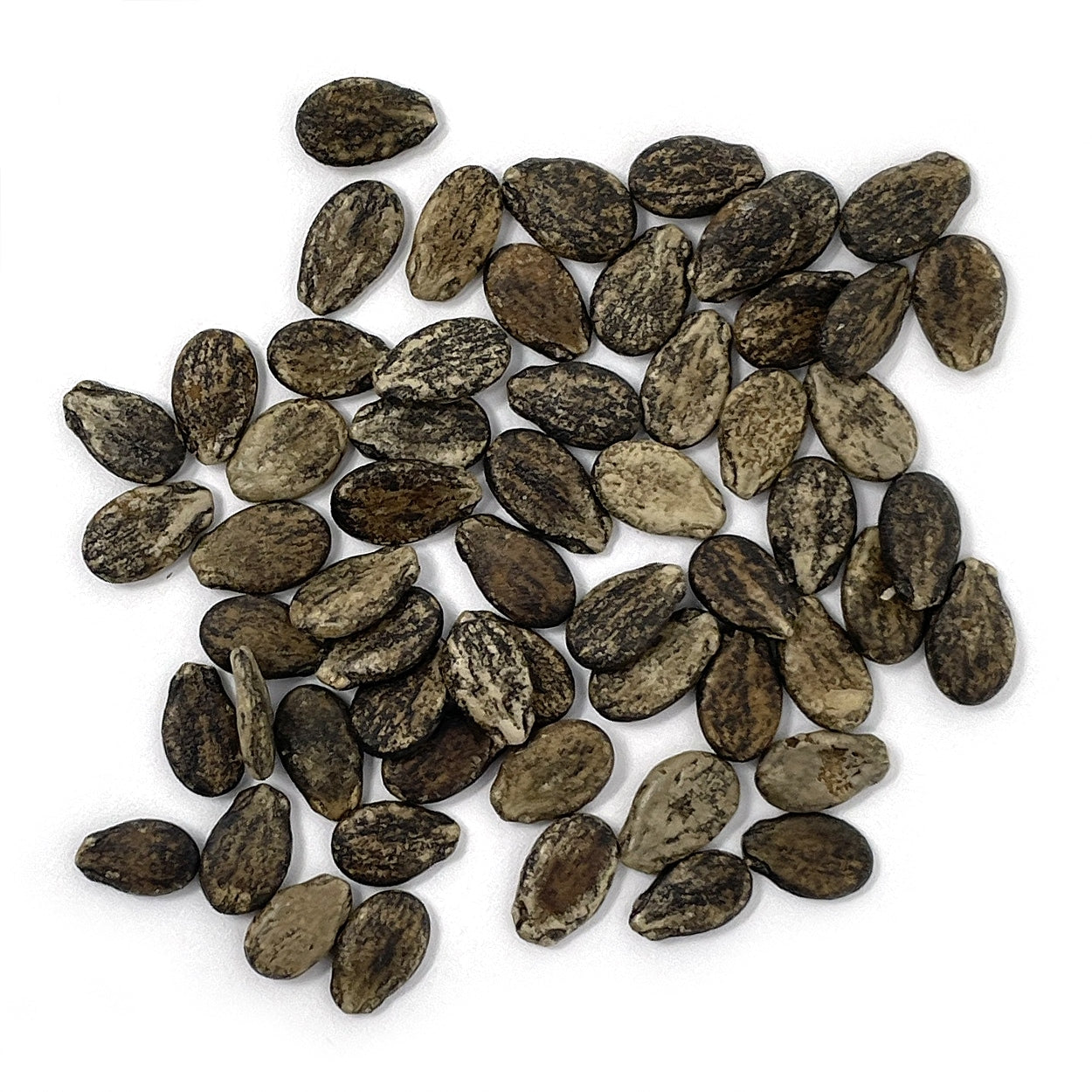 A close view of seeds on a white background 