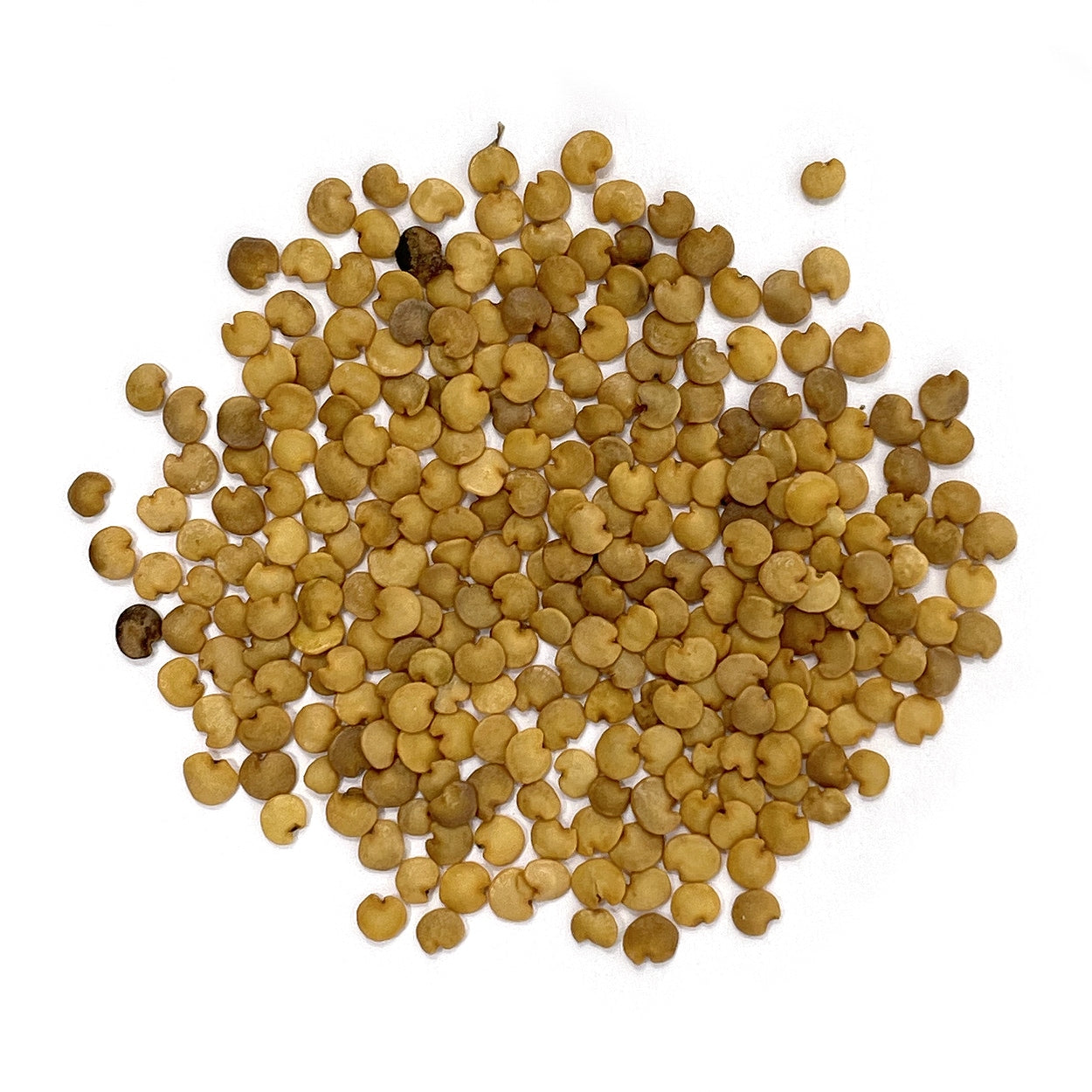 A close view of seeds on a white background 