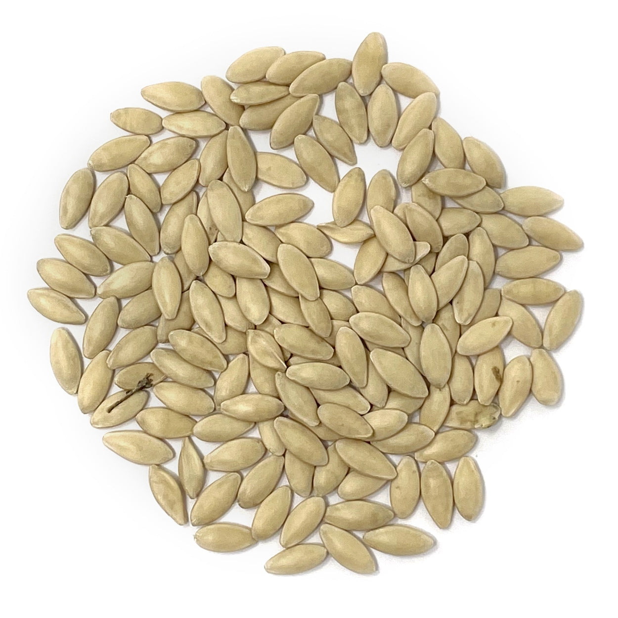 A close view of seeds on a white background 