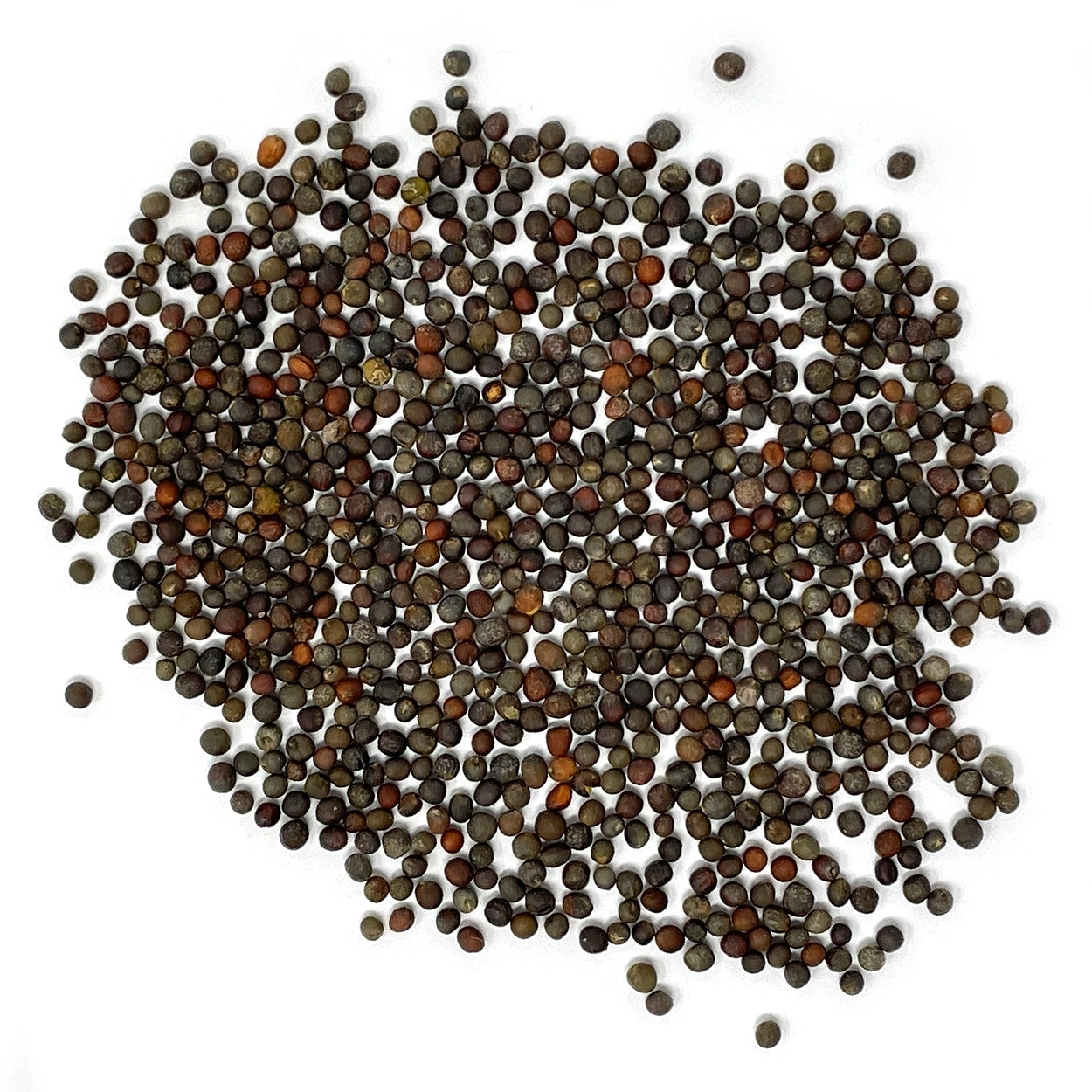 A close view of seeds on a white background 