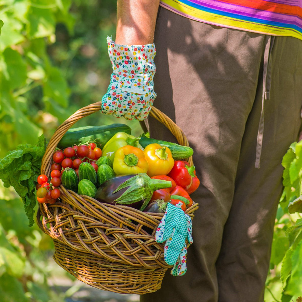 Triple Play Tomato & Vegetable Plant Food 8-8-8