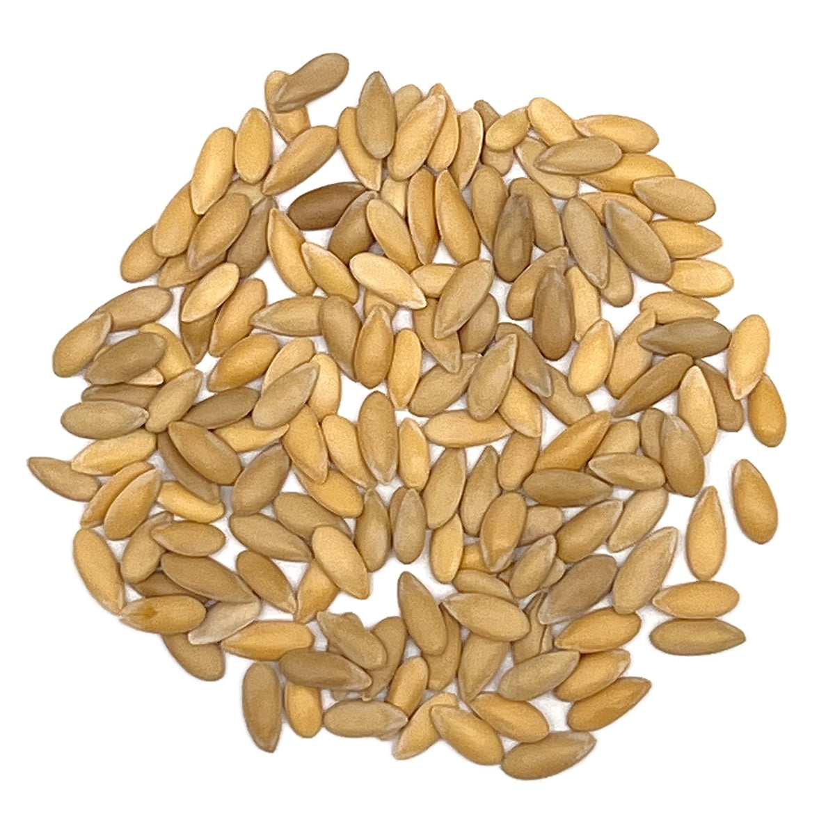 A close view of seeds on a white background 
