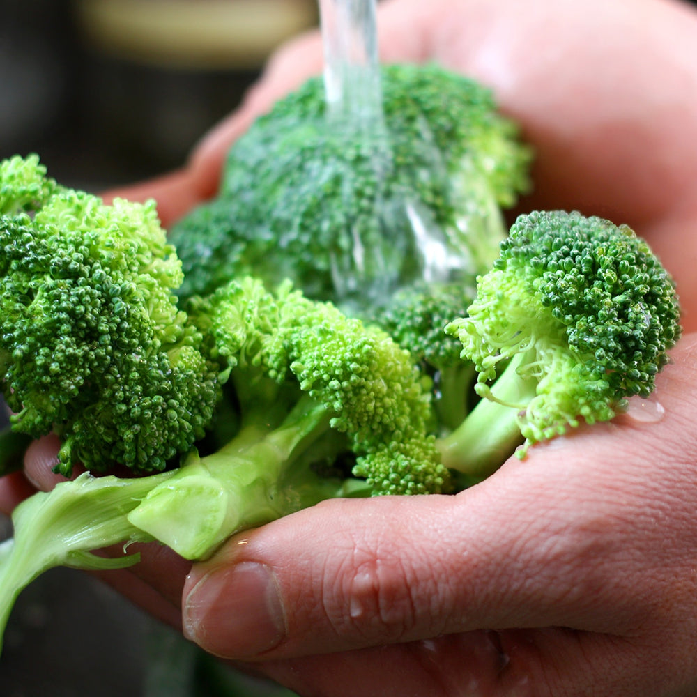 Purely Organic Waltham 29 Broccoli Seeds - USDA Organic, Non-GMO, Open Pollinated, Heirloom, USA Origin, Vegetable Seeds