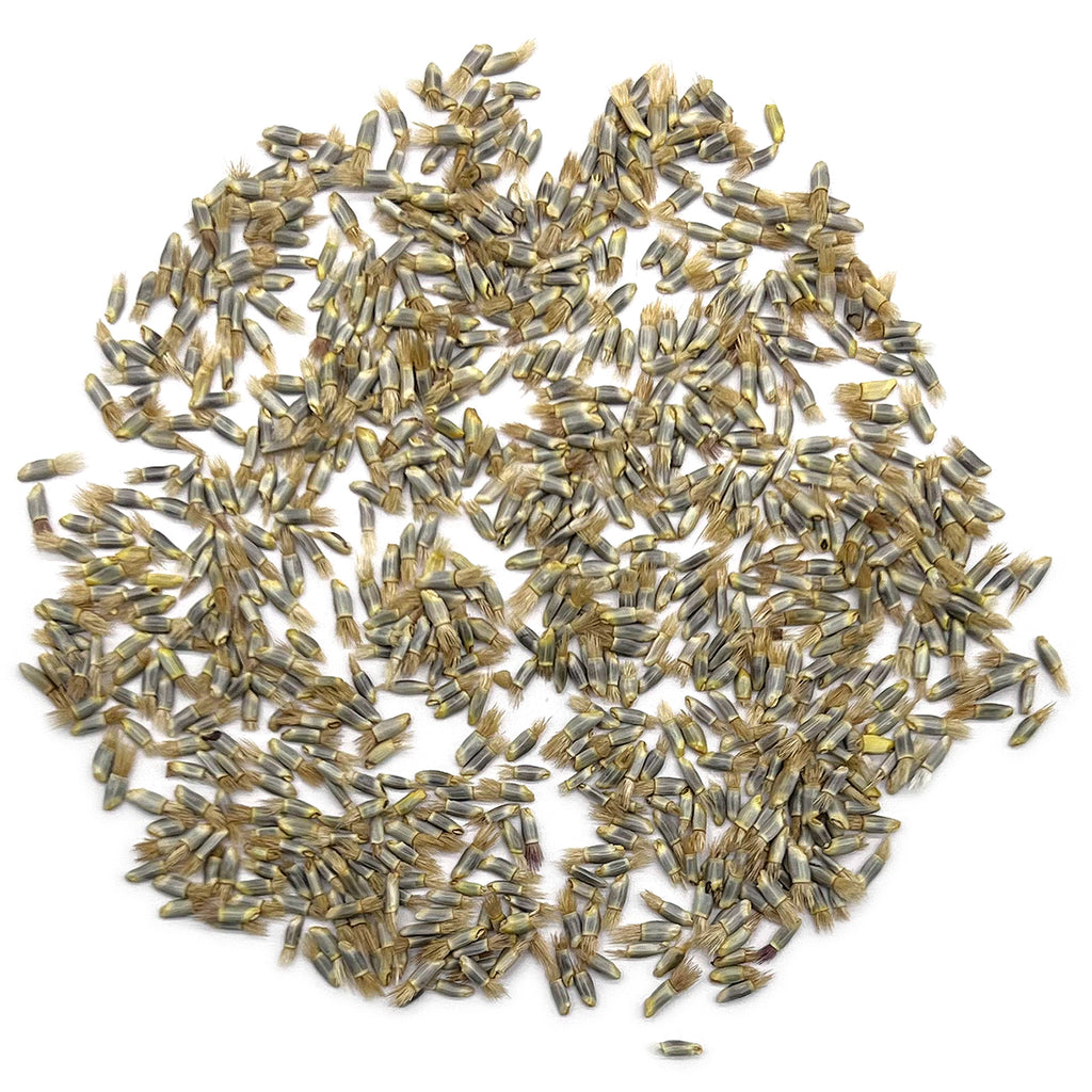 The Old Farmer's Almanac Bachelors Button Seeds