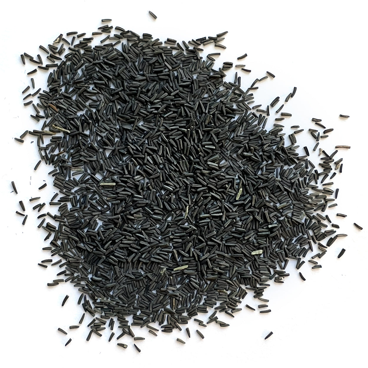 A close view of seeds on a white background 
