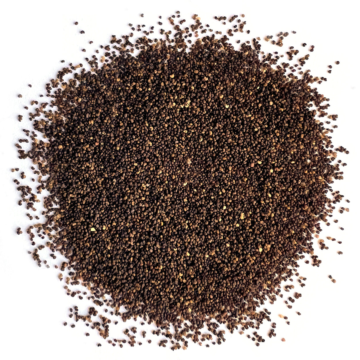 A close view of seeds on a white background 
