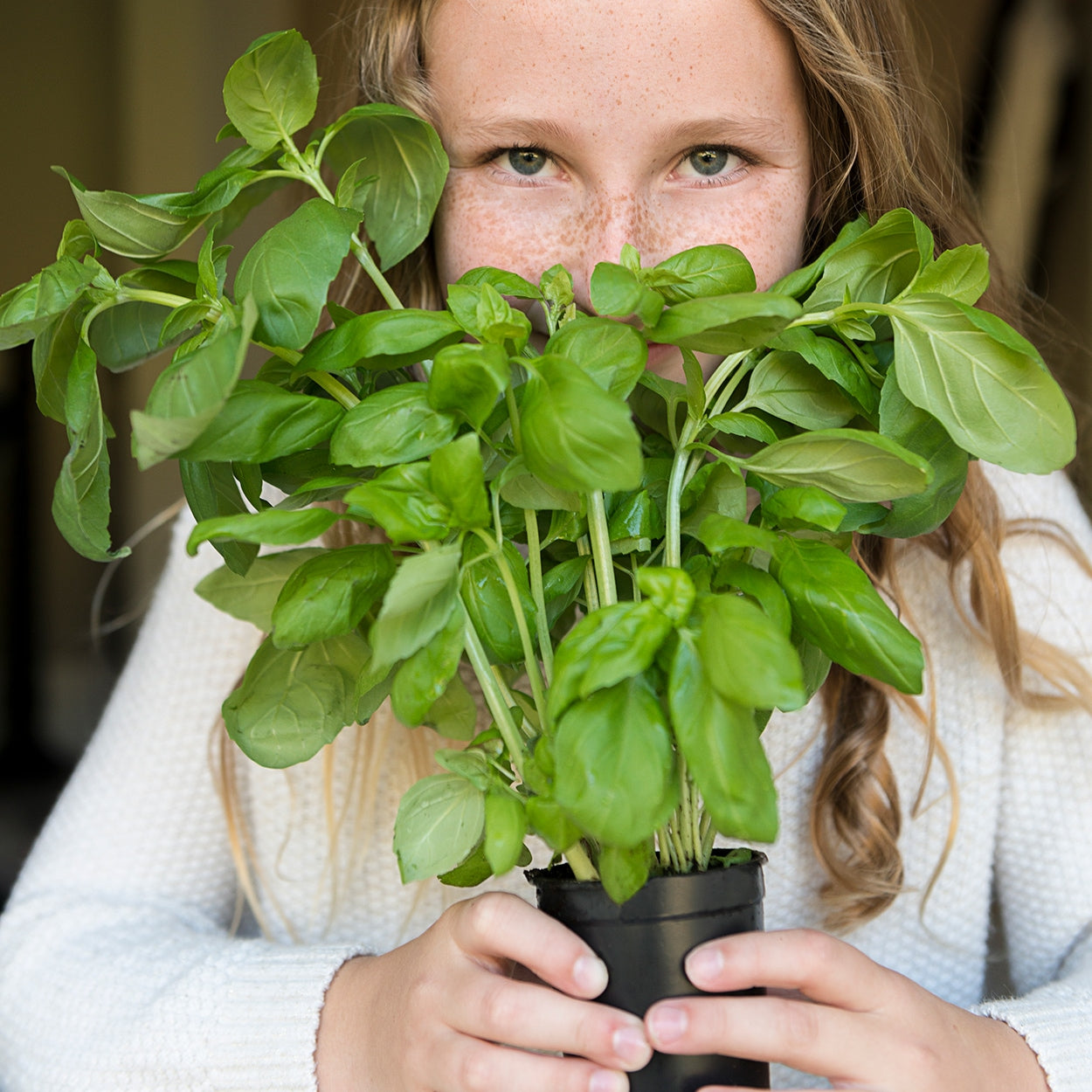 Girl Holding a Basil Plant over her face 