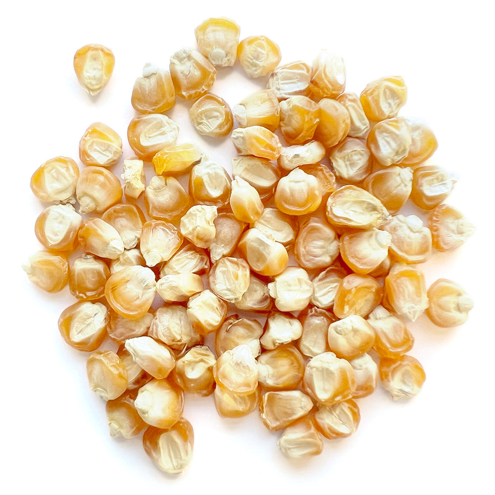 The Old Farmer's Almanac Heirloom Golden Bantam Sweet Corn Seeds - Premium Non-GMO, Open Pollinated, Vegetable Seeds