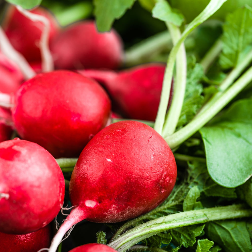 The Old Farmer's Almanac Organic Cherry Belle Radish Seeds - USDA Organic