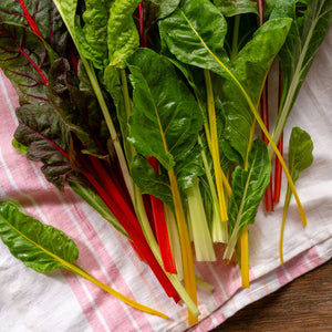 The Old Farmer's Almanac Heirloom Rainbow Mix Swiss Chard Seeds - Premium Non-GMO, Open Pollinated, USA Origin, Vegetable Seeds